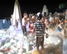 IMG_1555 IMG_1555